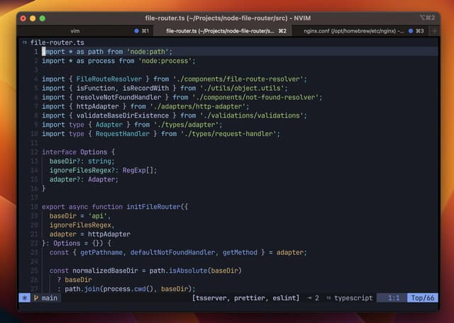 Neovim for developers